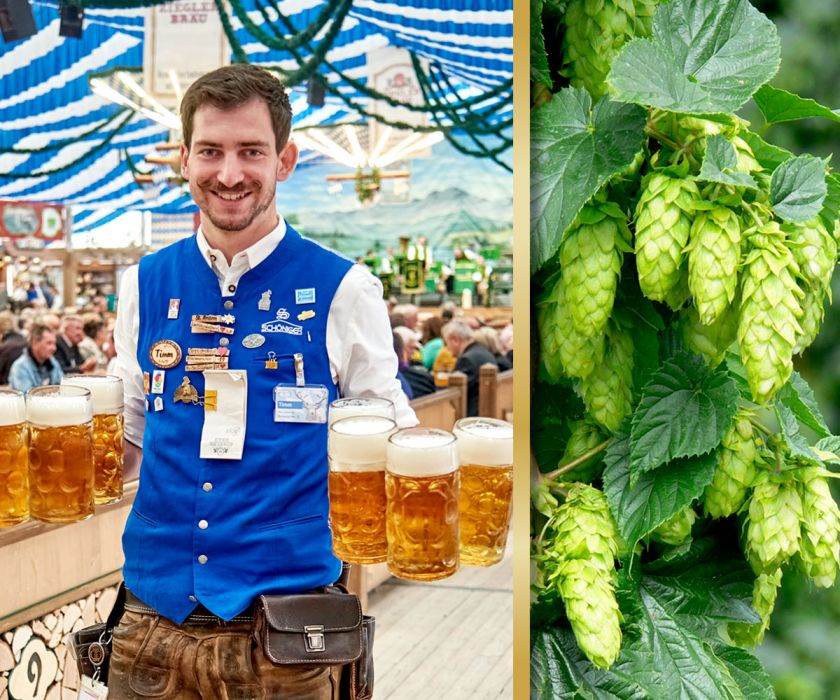 Prenotazione Gallimarkt Mainburg